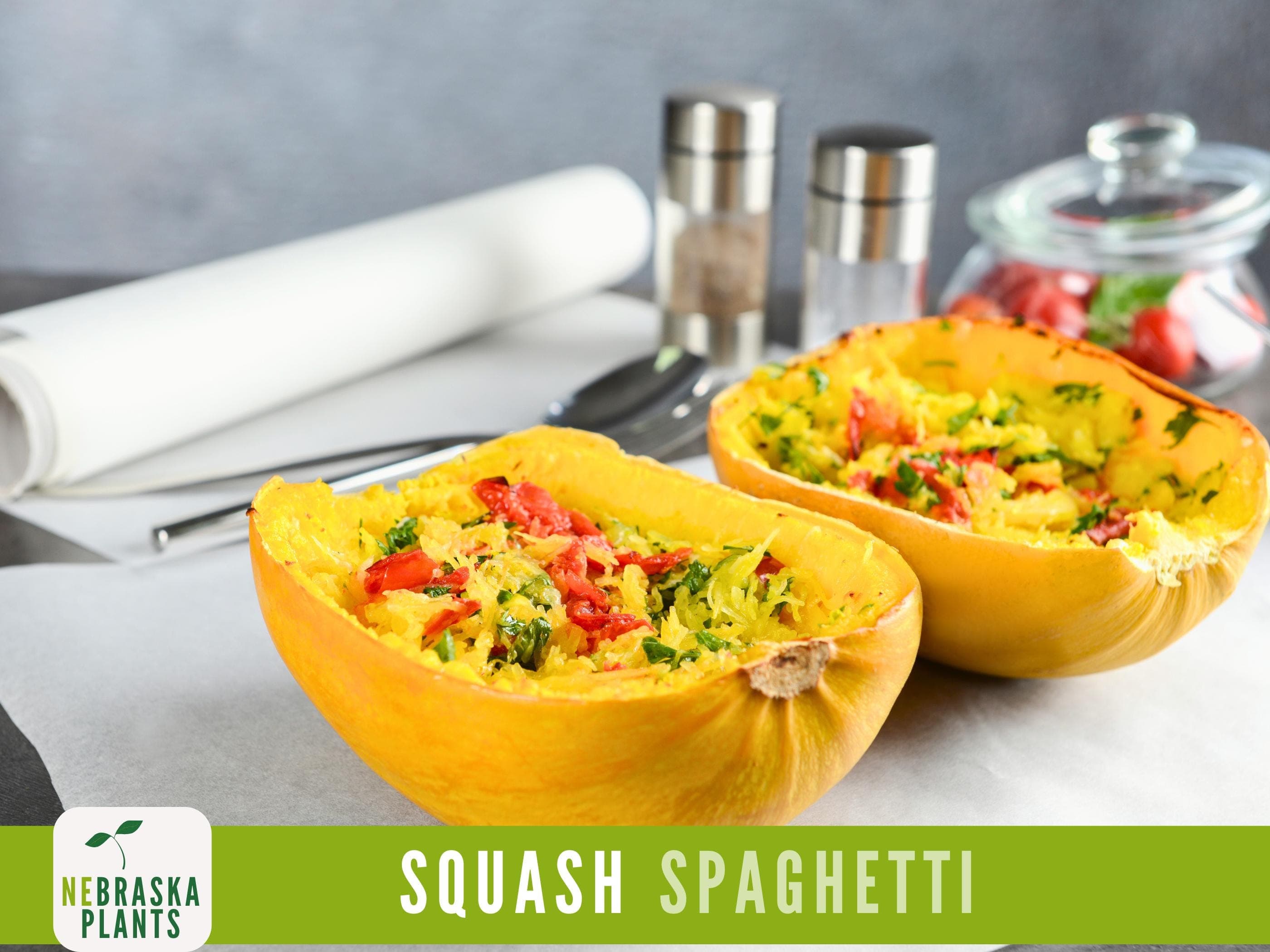 Spaghetti Squash Seeds - Winter Spaghetti Squash Heirloom Seeds - image 5
