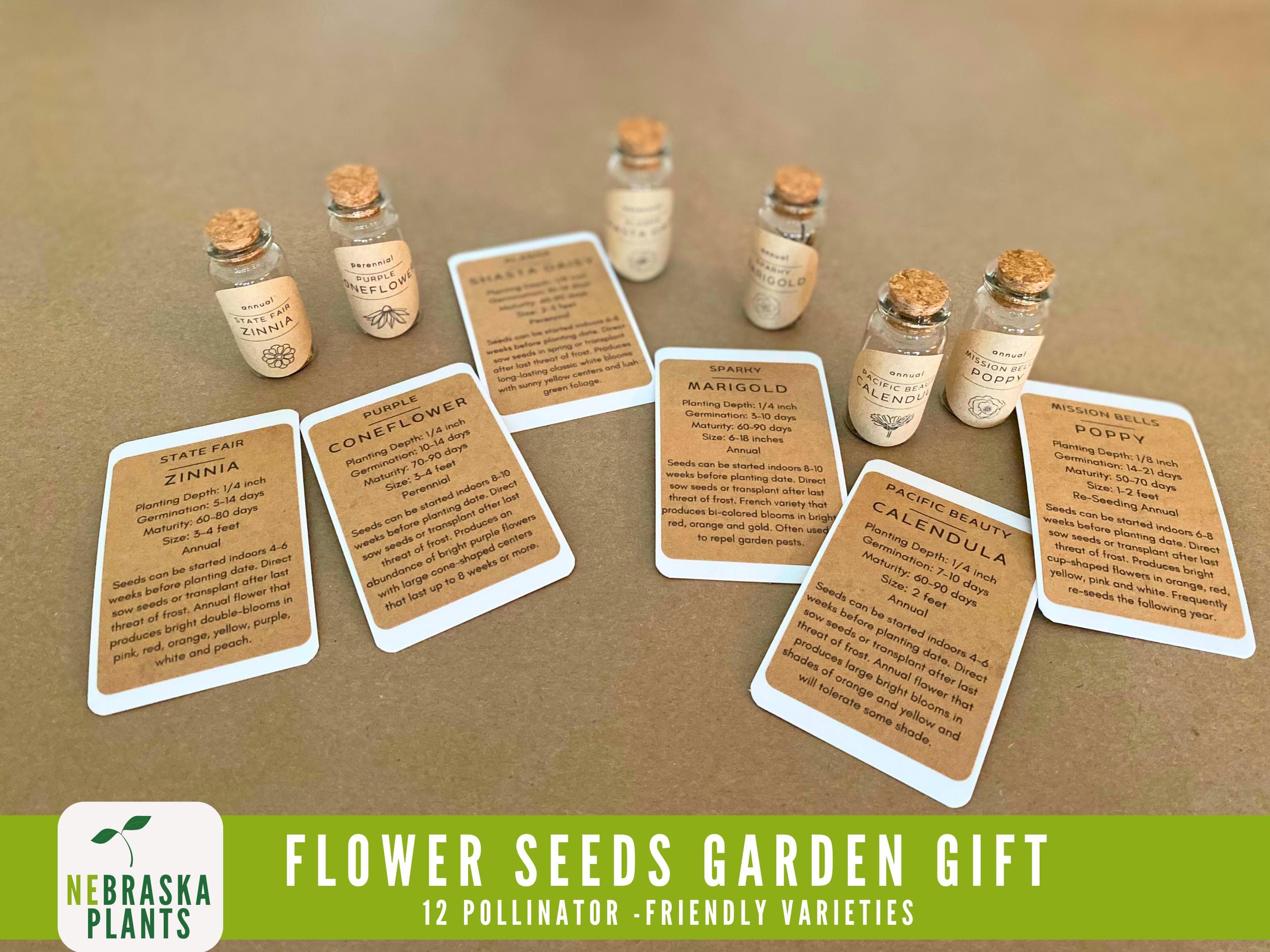 Bee and Butterfly-Friendly Flower Seeds in Reusable Glass Vials with Growing Instructions