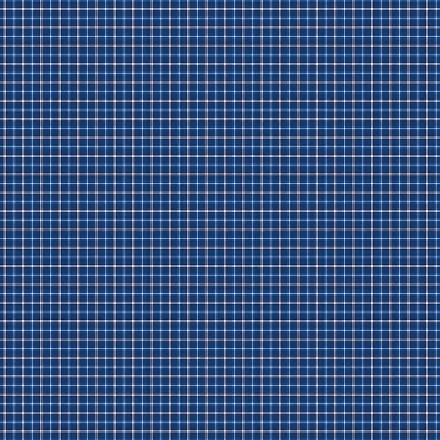 Red White & Bang!- Plaid Navy - Riley Blake Designs by Sandy Gervais - image 3