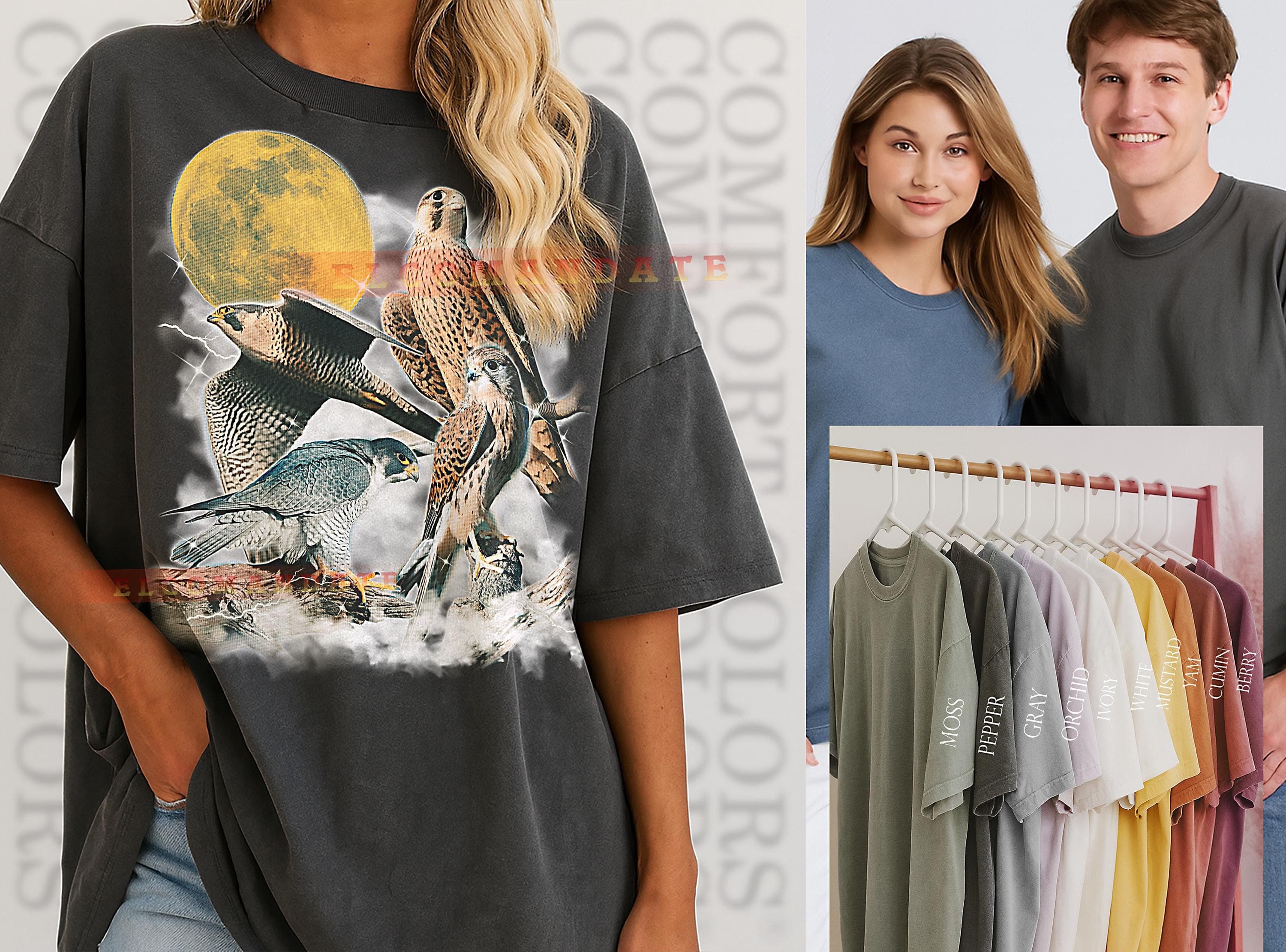 Falcon T-Shirt, Vintage Animal Lovers Bird Of Prey Nature Wildlife Tee, 90s Retro Throwback, Falcon Sweater - image 3