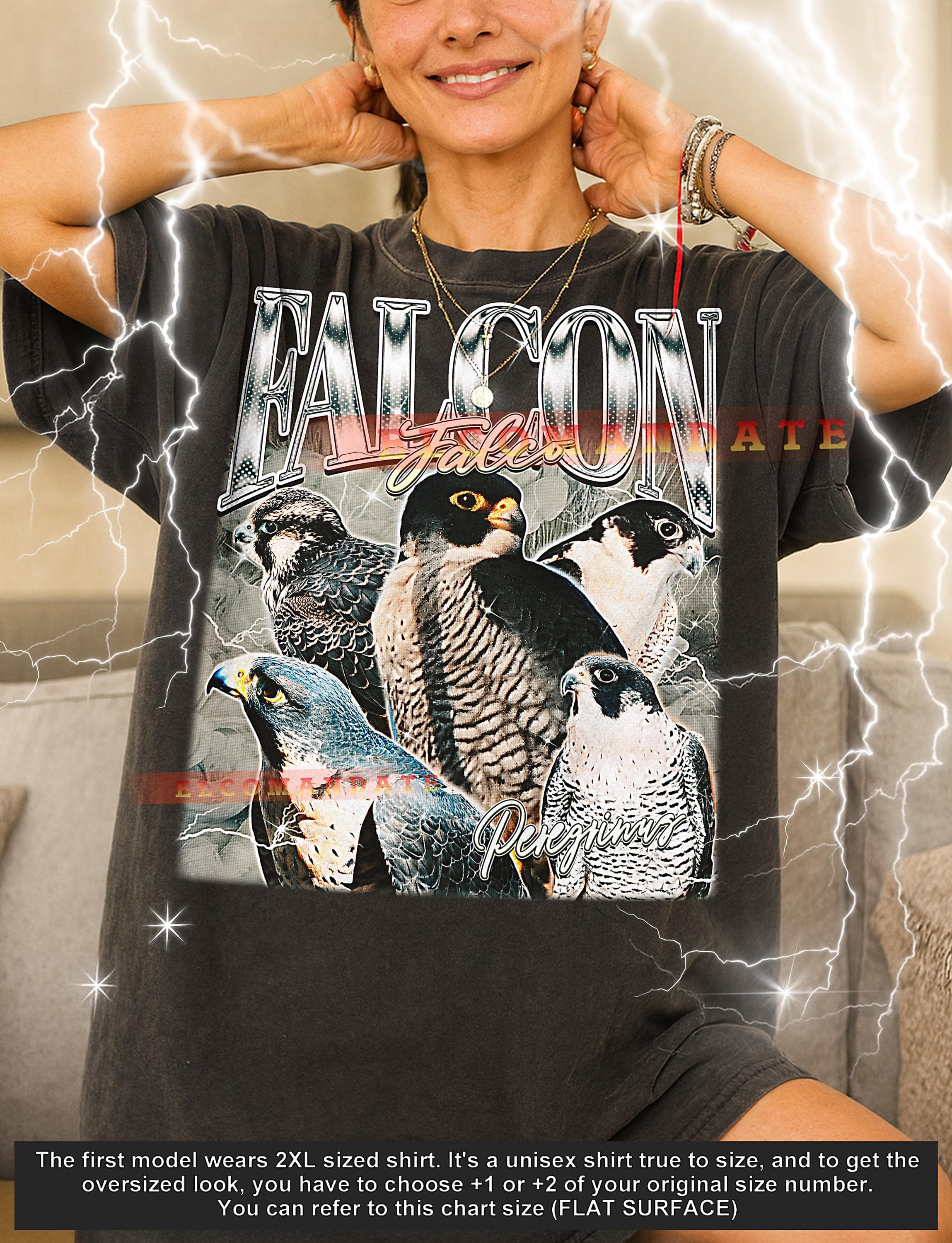 Falcon Falco Peregrinus T-Shirt, Vintage Animal Lovers Raptor Bird Wildlife Nature Tee, 90s Retro Throwback, Falcon Falco Peregrinus Sweater