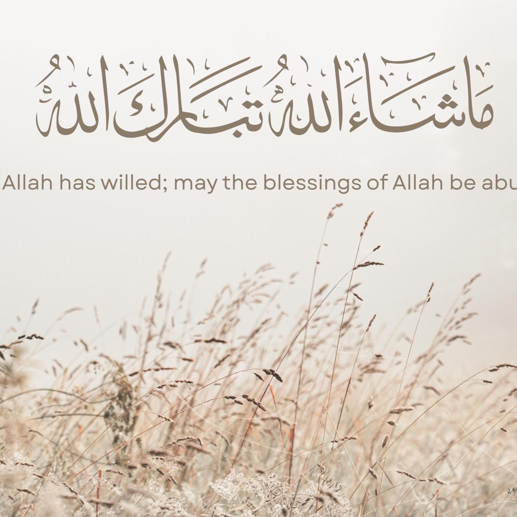 Neutral beige Islamic Samsung Frame TV art featuring a neutral landscape of pampas grass above it is elegant Arabic calligraphy of “MashaAllah TabarakAllah” with the English translation “What Allah has willed; may the blessings of Allah be abundant” displayed beneath in minimalist style.