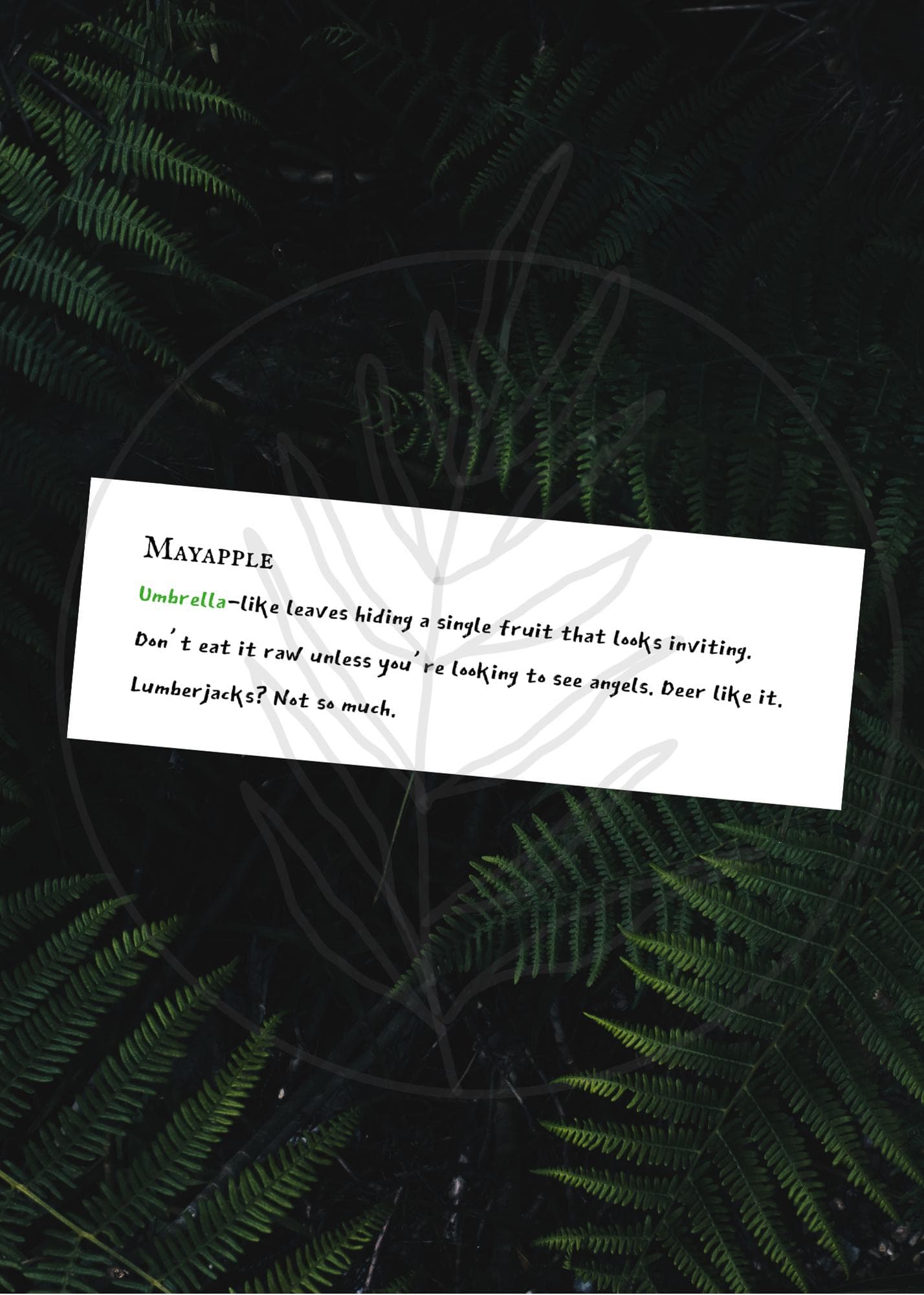Scavenger Hunt Clues - Lumberjack Manual (PDF Download) - image 5