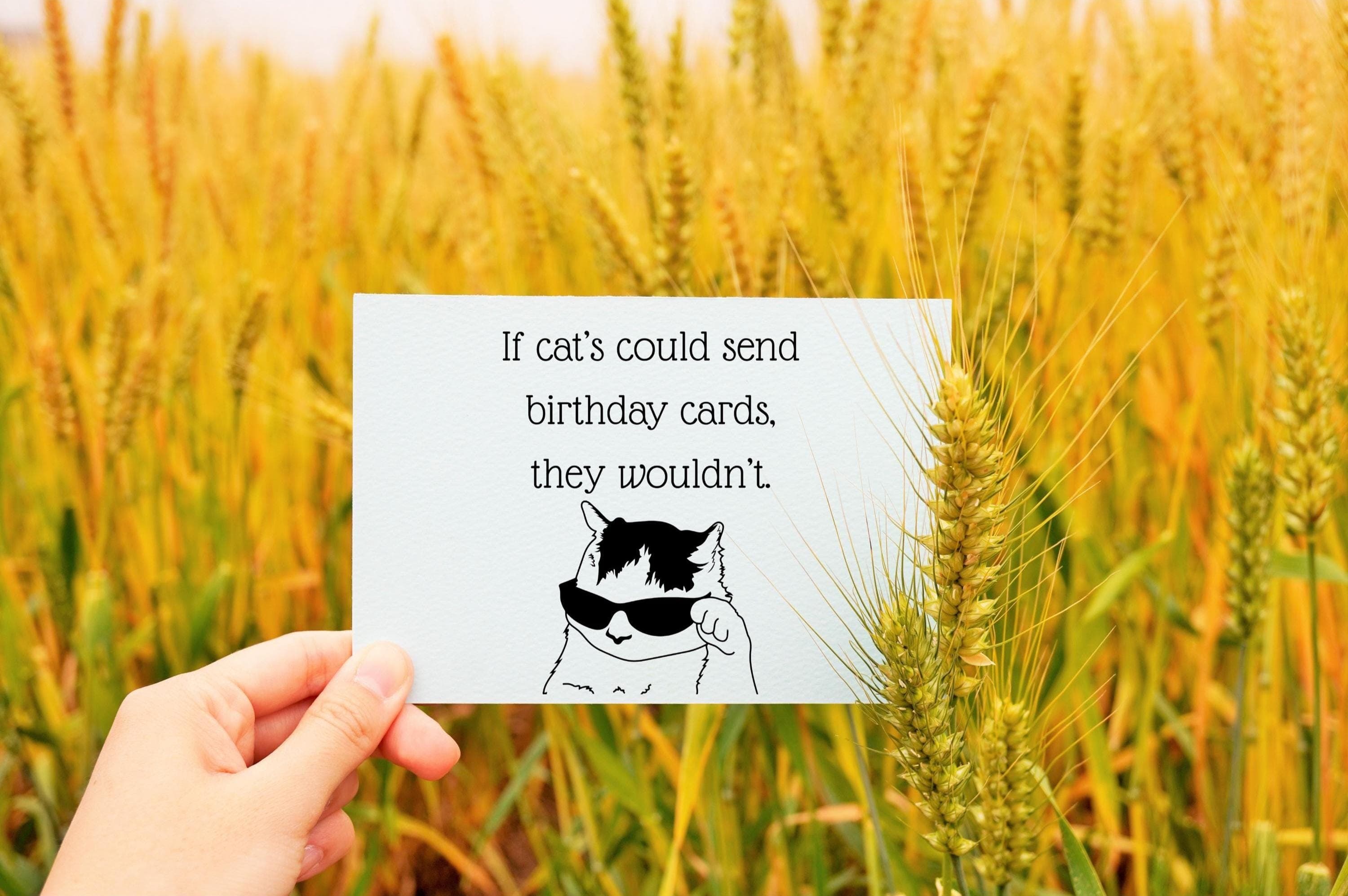 Cat Themed Birthday Card, Sarcastic Cat Greeting Card, If Cat‘s Could Send Birthday Card They Wouldn’t, Cool Cat Card, Asshole Cat Quote