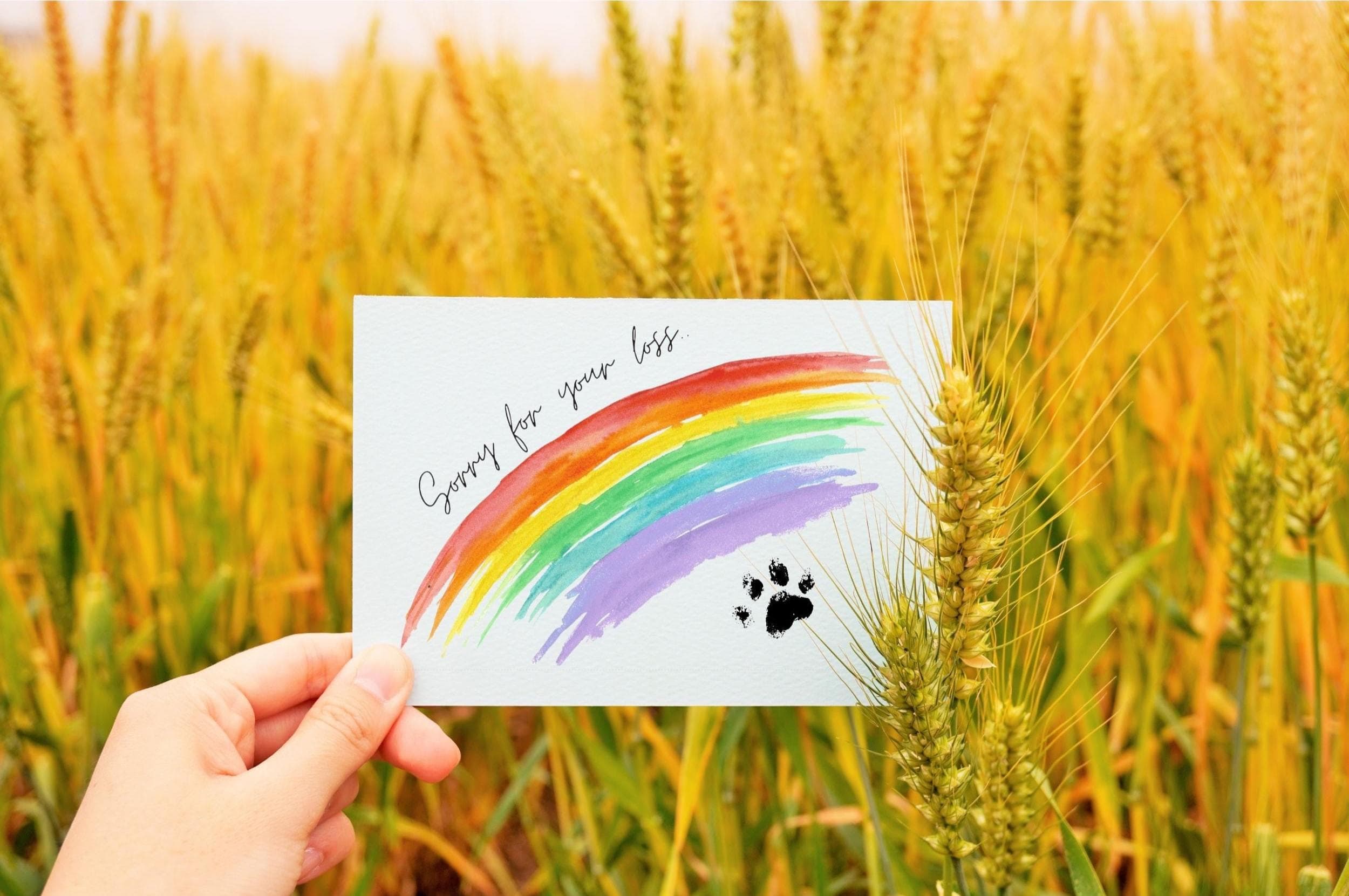 Printable Pet Loss Sympathy Card, Heartfelt Condolences Card, Sorry for your loss card, thinking of you card, grieving card,digital download