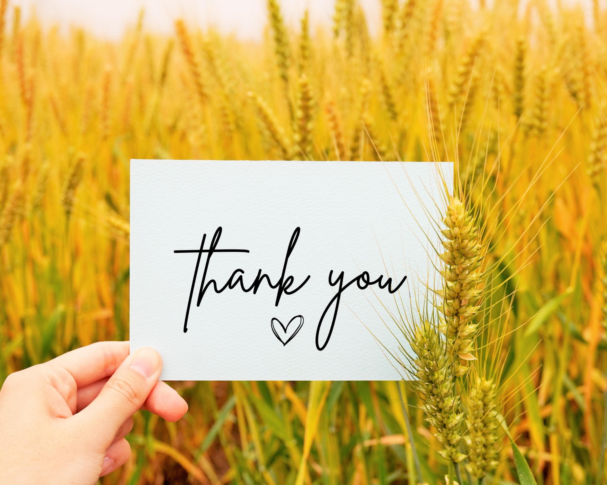 Minimalist Thank You Card, Gratitude Greeting Card, Just thank you card, Card for coworker/boss, Card for Husband/Wife/Friend, printable 5x7