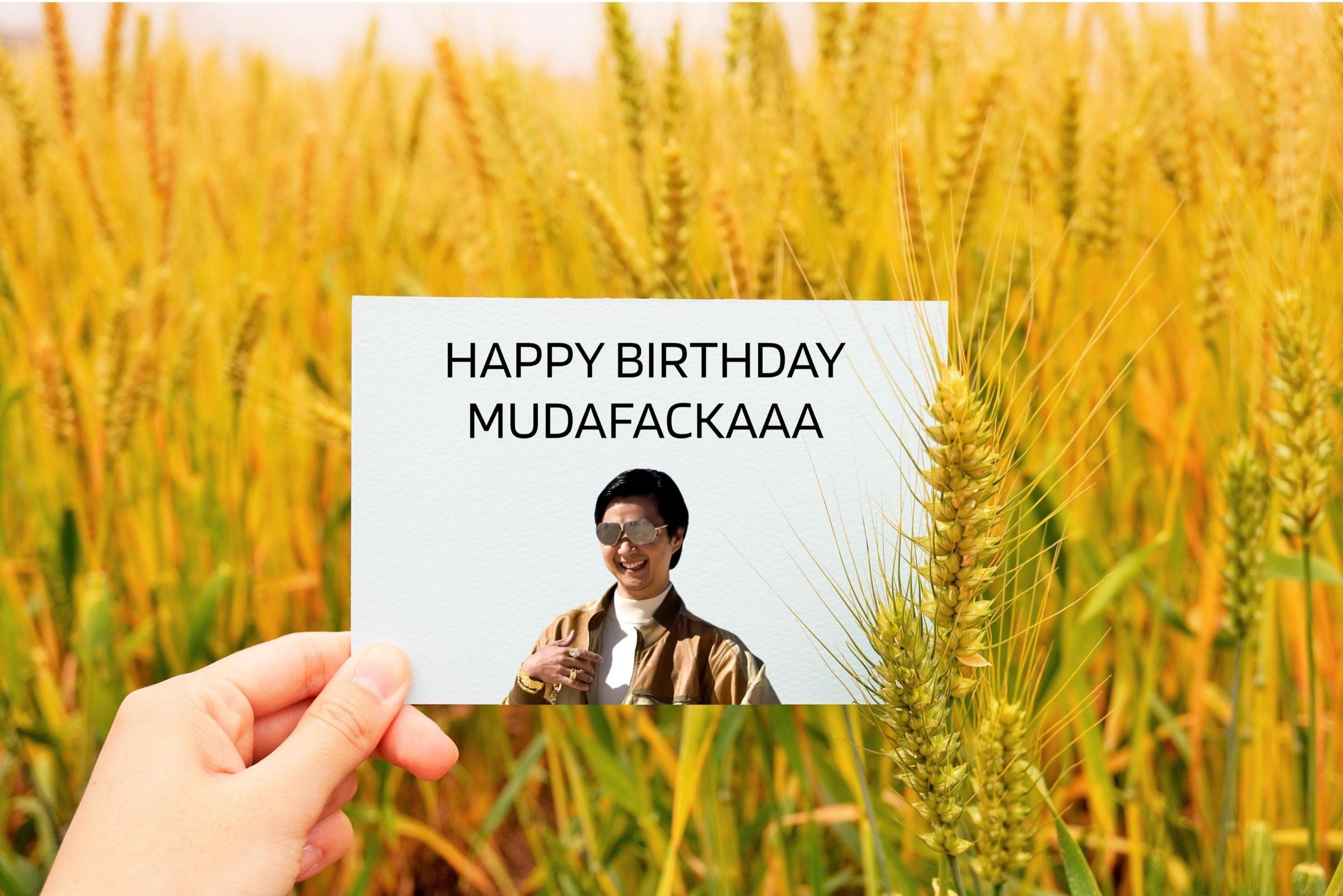 Printable Funny Postcard, Minimal Humor Card, Instant Download, Digital Greeting Card, Funny Mr. Chow Meme Card, Dark Humor Birthday Card