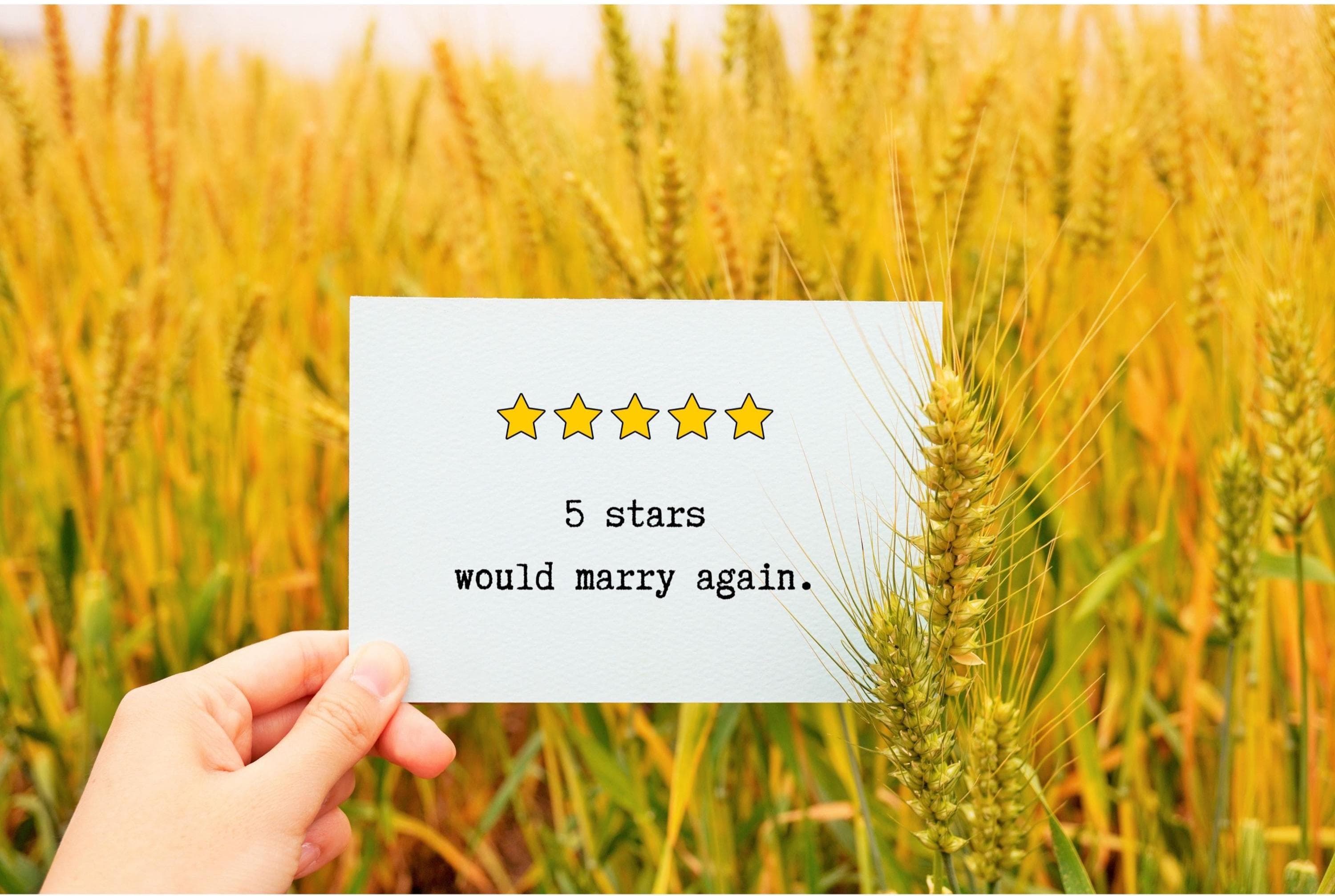Funny anniversary card for husband/wife, printable greeting card, anniversary gift, 5 stars would marry again, valentines card for him/her