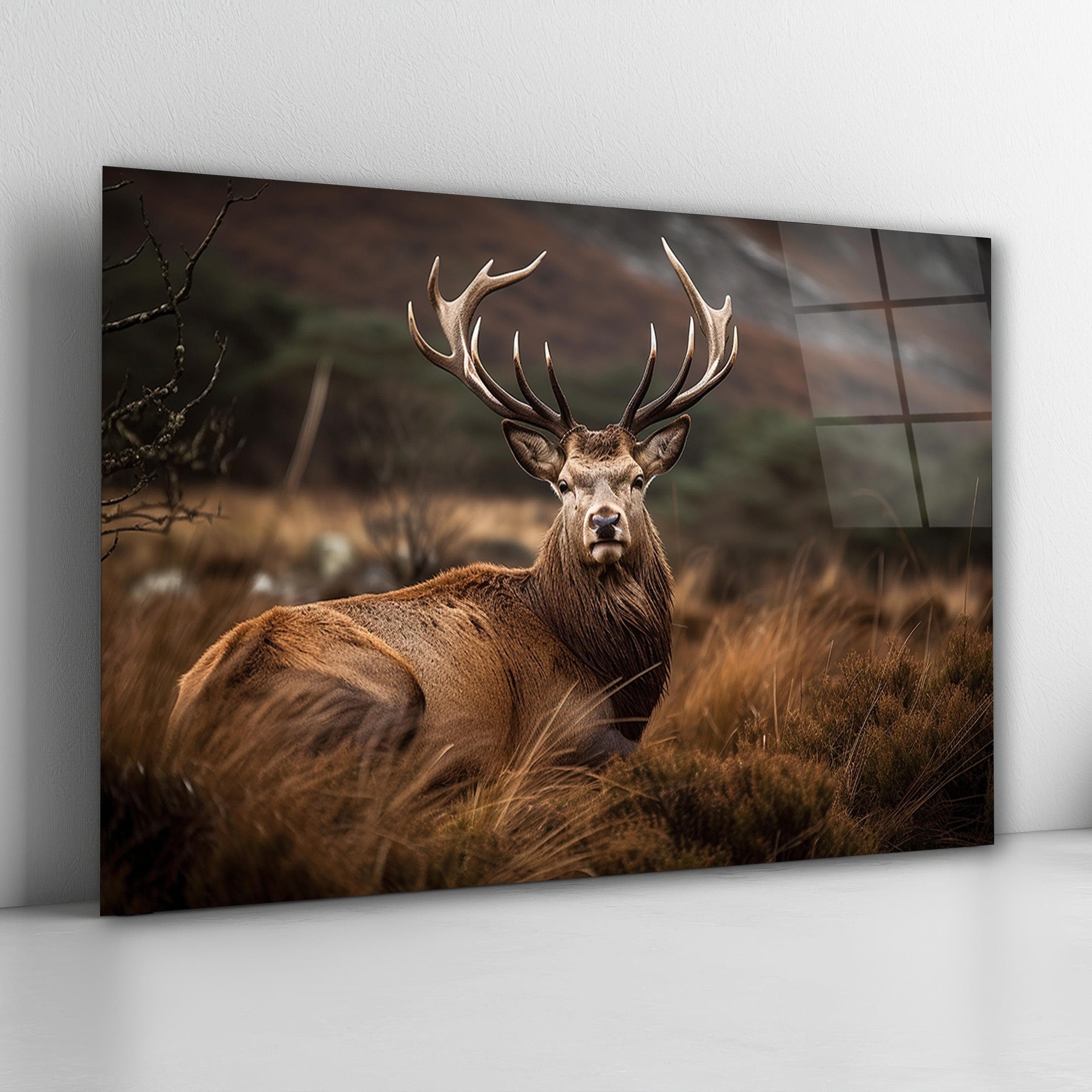 Wild Elk Glass Wall Art, Deer Tempered Glass Decor, Modern Animal Wall Art, Man Cave Decor, Office Wall Art, Christmas Gift, Wall Hanging
