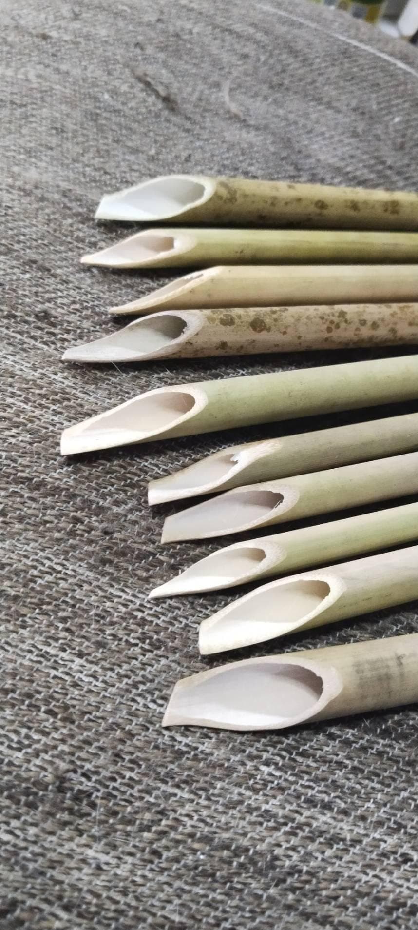 Bamboo Calligraphy Pen Set: 10 Pens (1-9 mm) - image 3