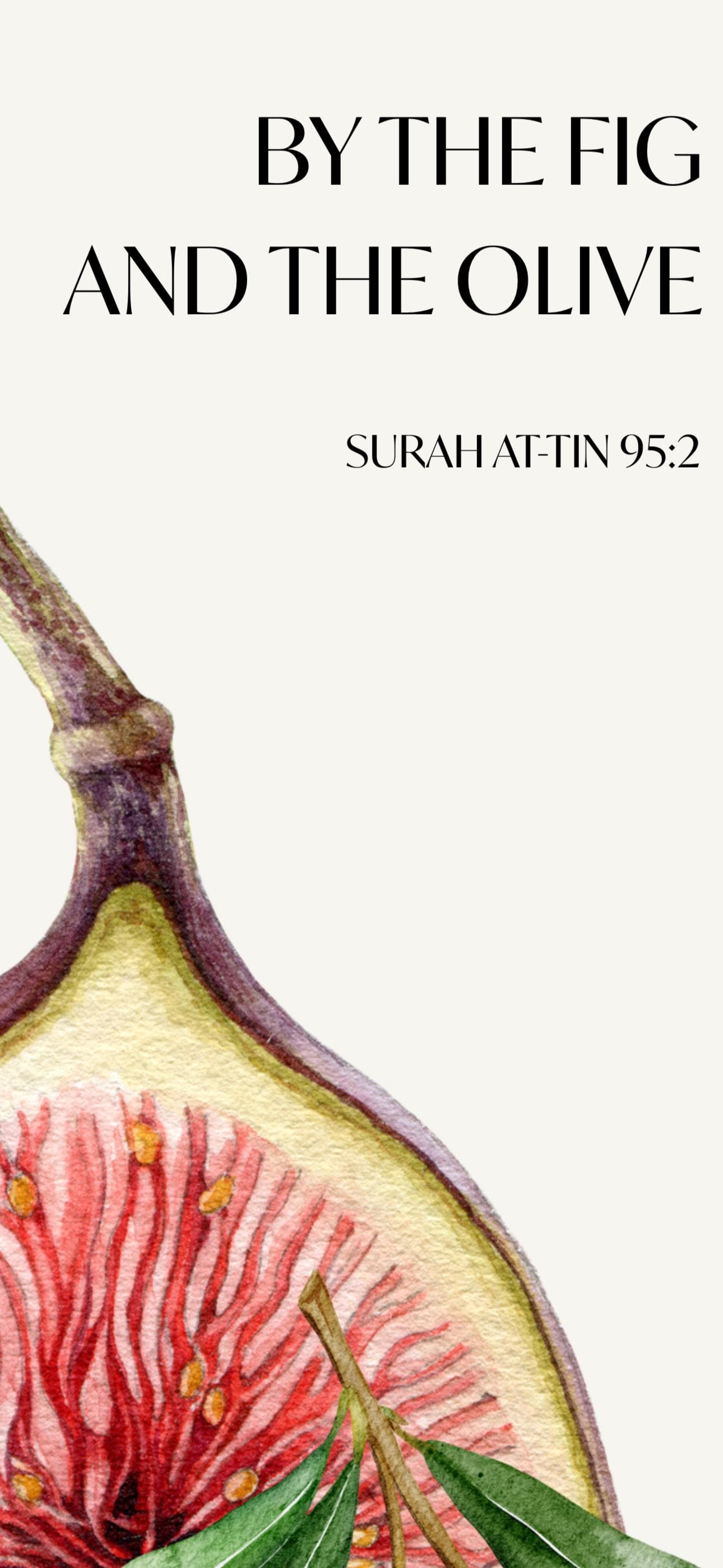 Islamic Ramadan Kitchen Print | Fig and Olive, Quran Botanical Art (Digital Download) - image 4