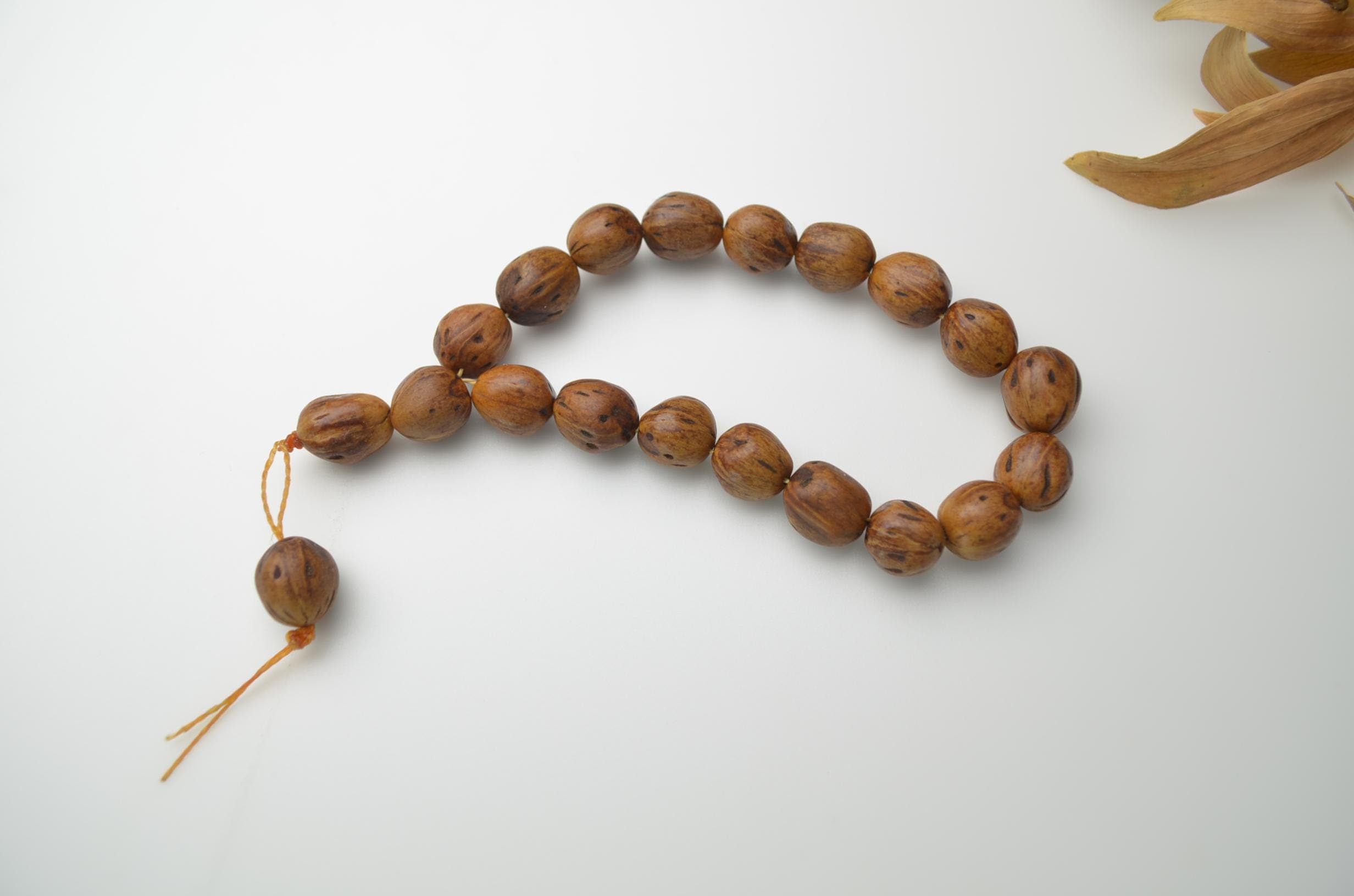 Ancient Brown Juniper Seed Worry Beads, Short Pocket Tasbih, Earthy Seed Rosary, Personalized Prayer Beads, Mens Gift, Authentic Turkish Efe - image 3