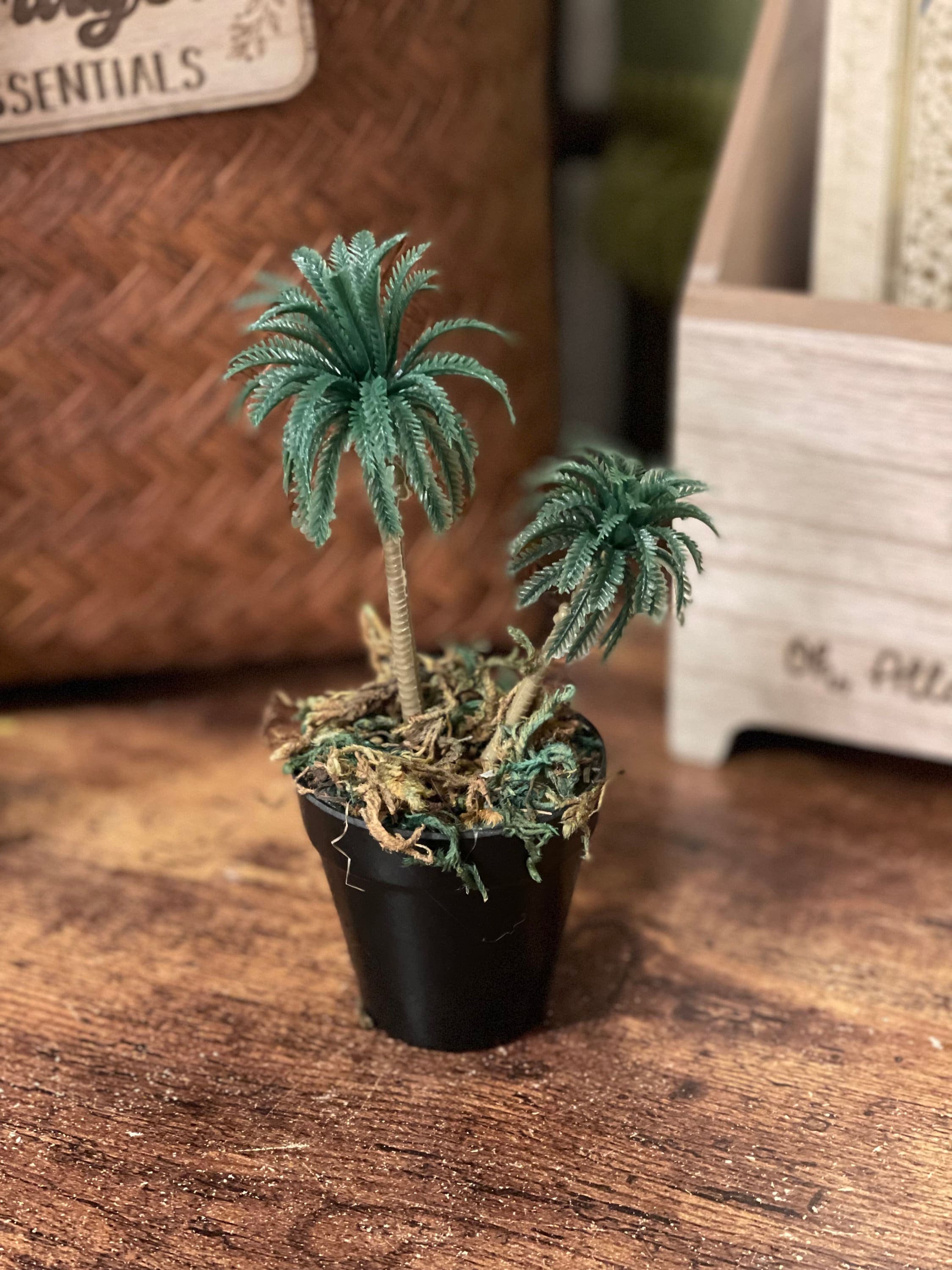 Ramadan decor, Faux mini Palm tree, Eid decor, Ramadan Star
