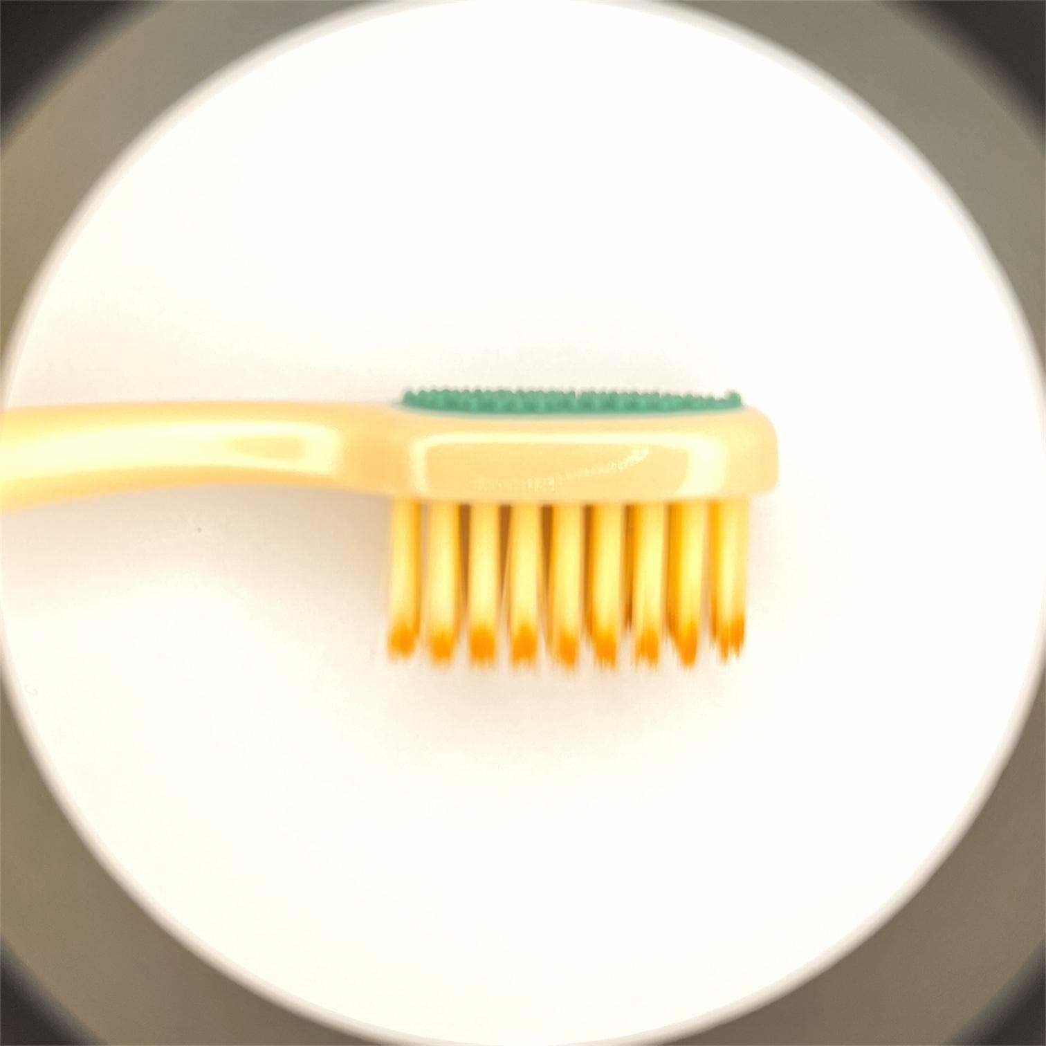Miswak Toothbrush with Calcium Carbonate - Natural Dental Care