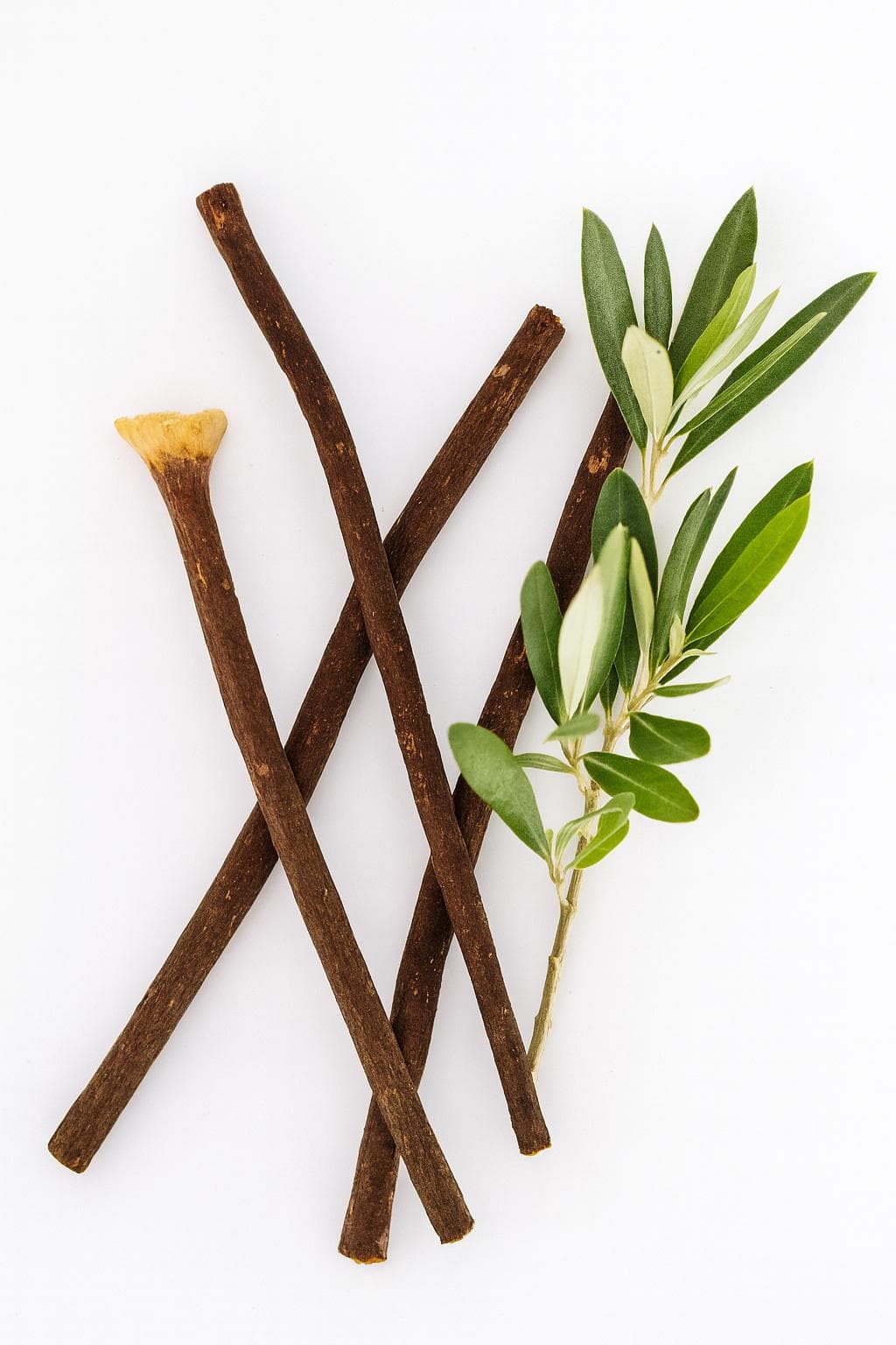 Sunnah Goods Zaytoon Miswak Box β 2 Olive Tree Miswaks + Holder - image 5