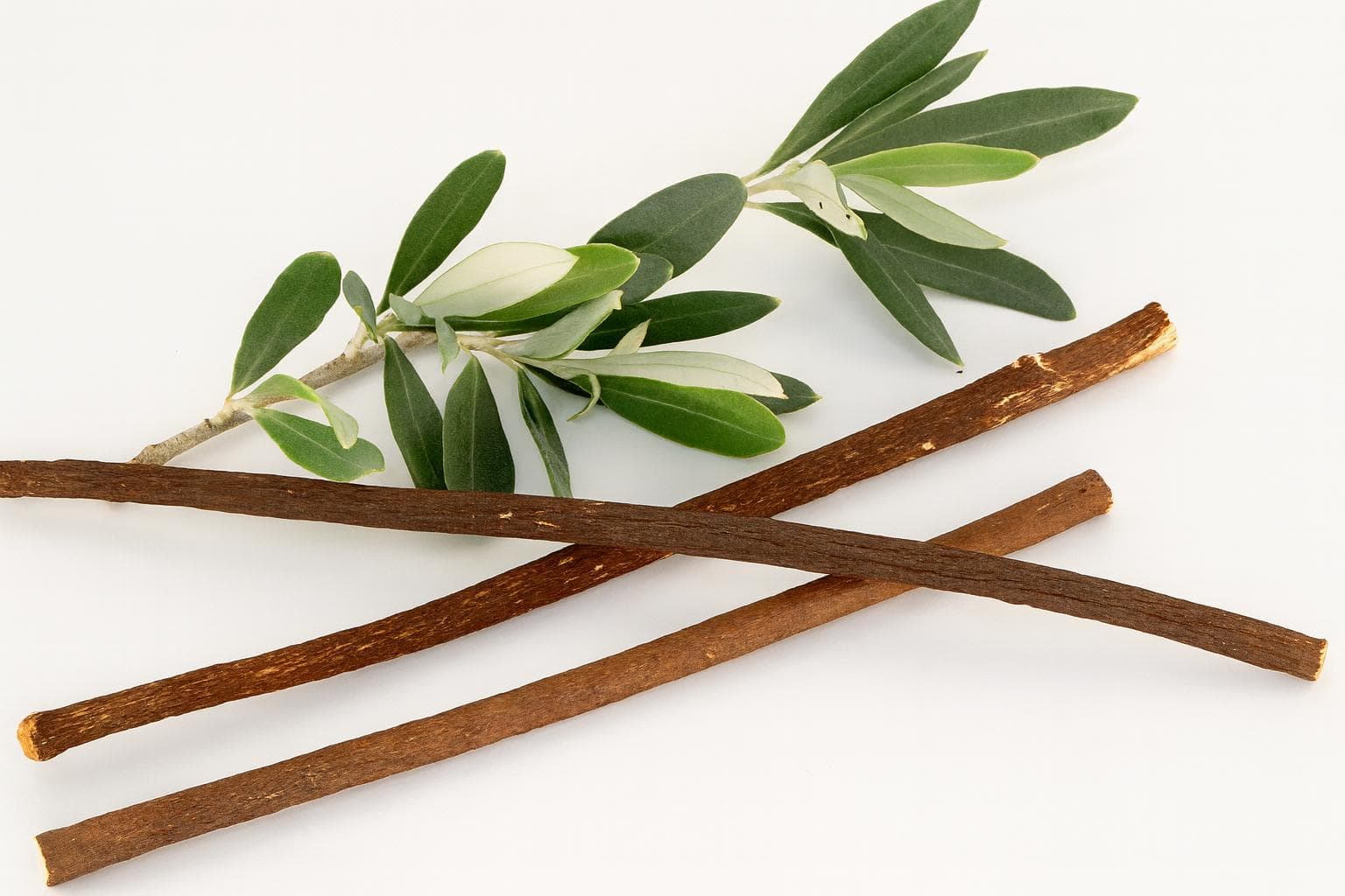 Sunnah Goods Zaytoon Miswak Box β 2 Olive Tree Miswaks + Holder - image 4