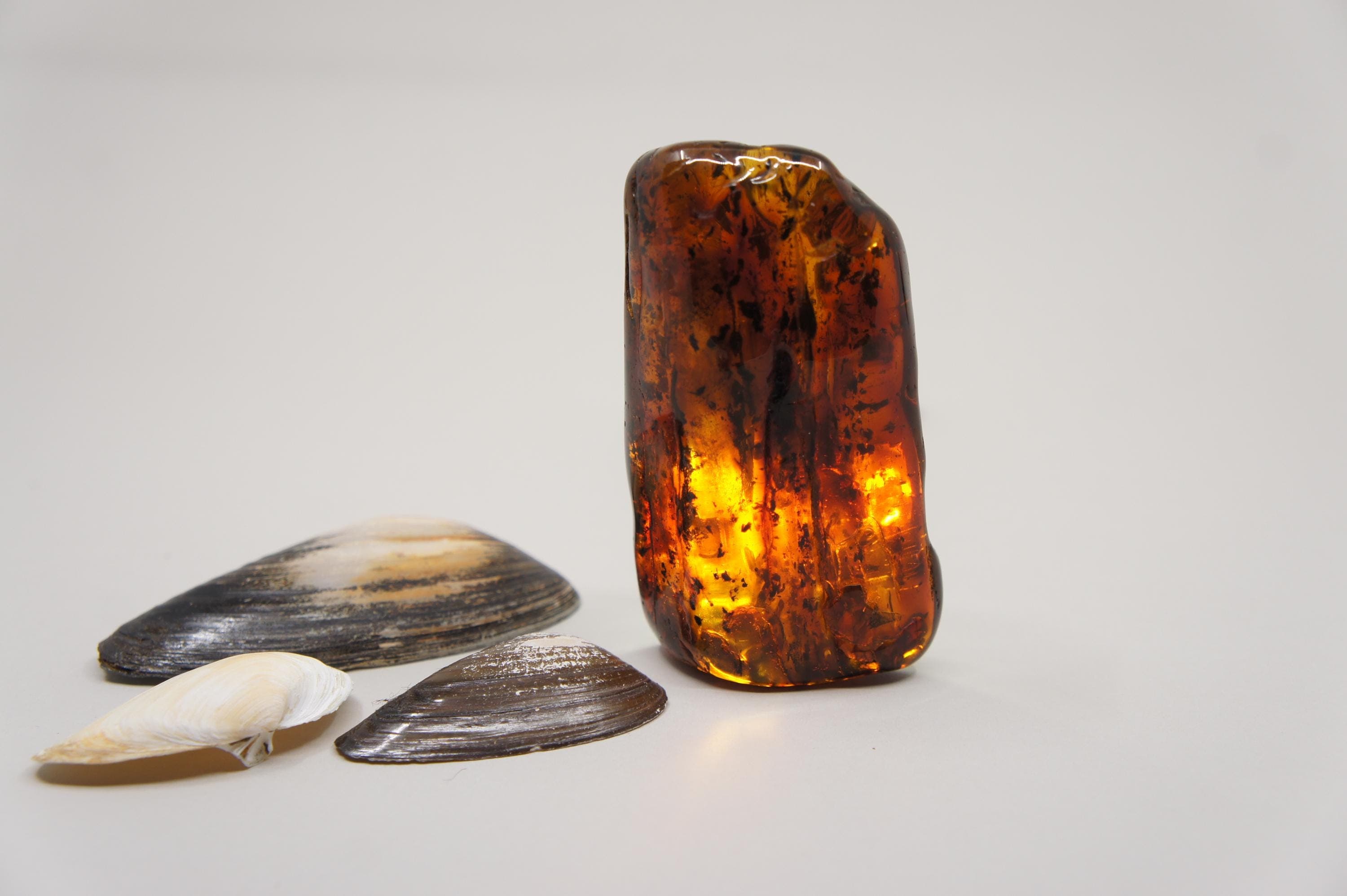 Natural Baltic Amber Stone: Rectangle, Gem, Inclusion, Unique Stone 85 g (2.99 oz) #1905 - image 3