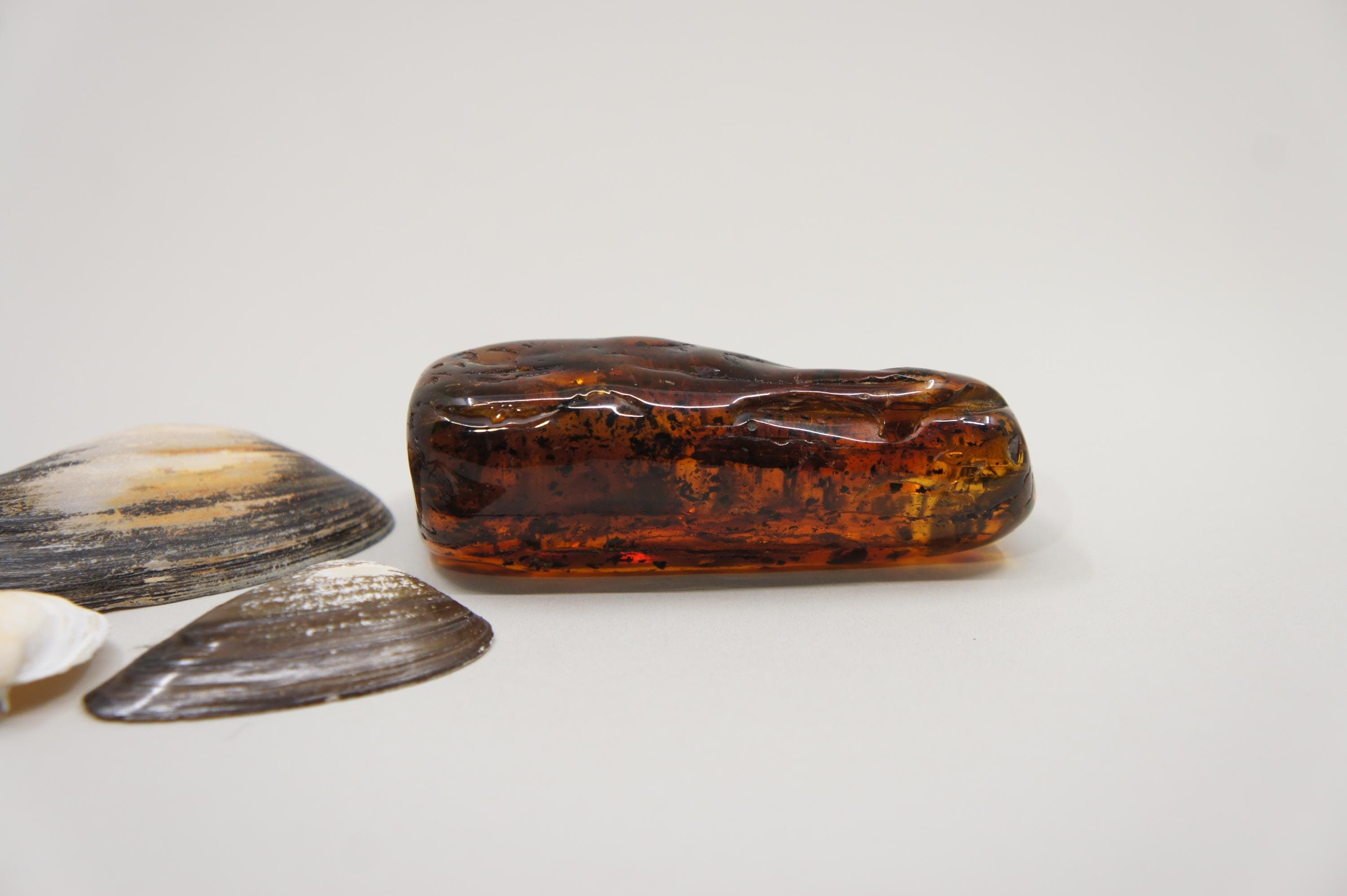 Natural Baltic Amber Stone: Rectangle, Gem, Inclusion, Unique Stone 85 g (2.99 oz) #1905 - image 4