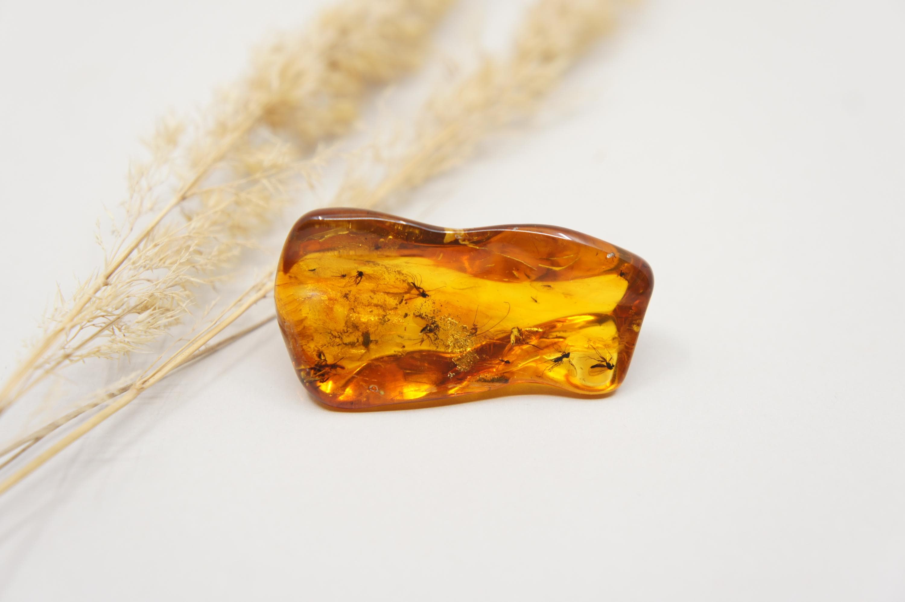 Genuine Baltic Amber Stone: Rectangle Gem with Insects (9.5 g /0.33 oz/) #2388