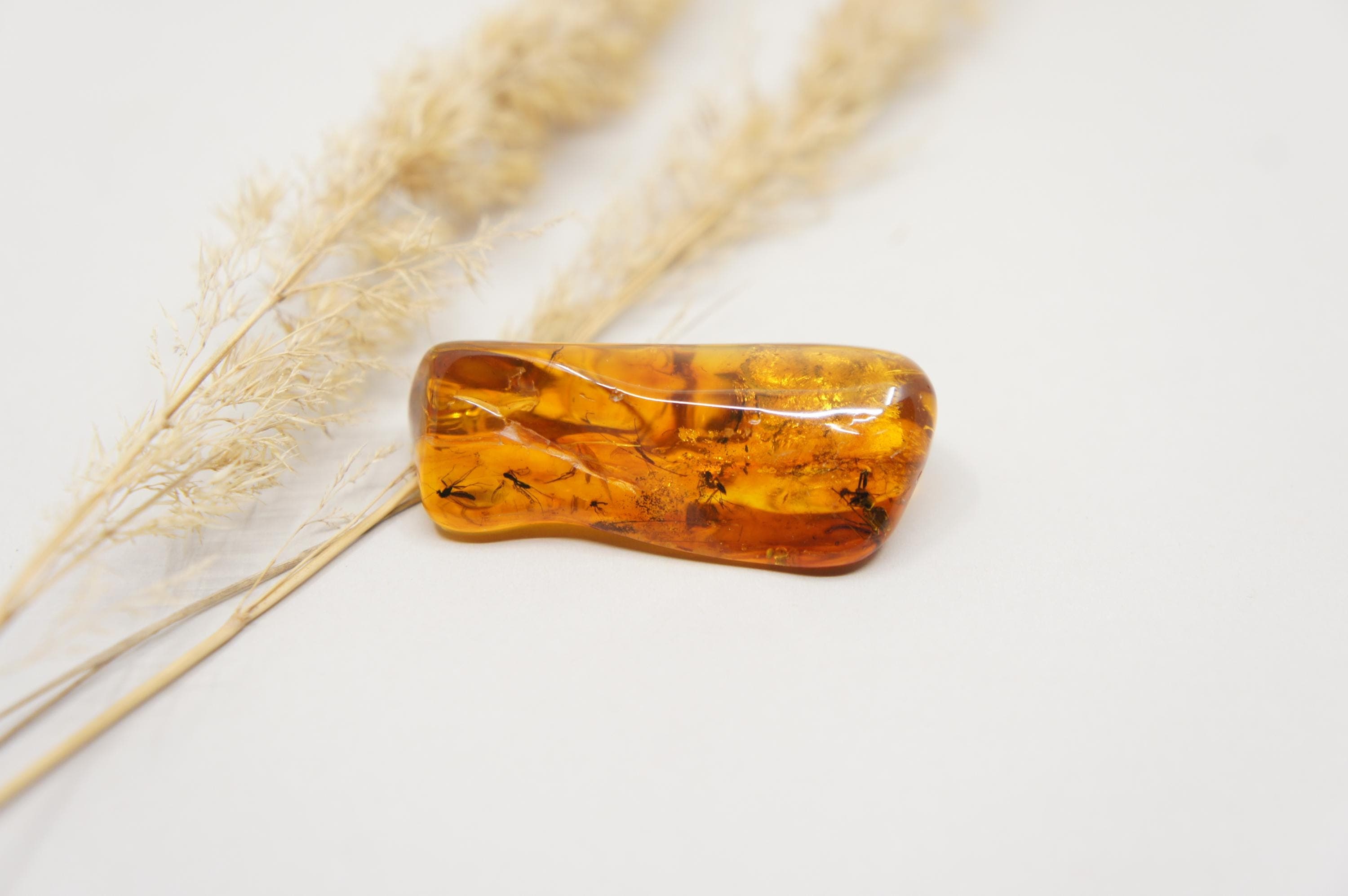 Genuine Baltic Amber Stone: Rectangle Gem with Insects (9.5 g /0.33 oz/) #2388 - image 3