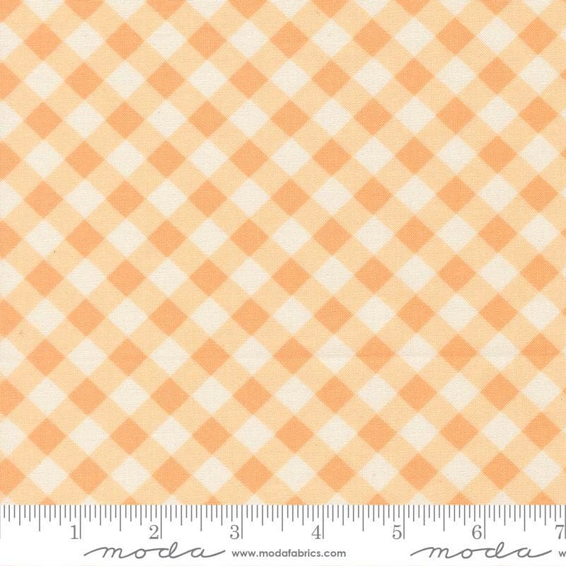 Gingham Apricot from Pastel Prairie Collection by My Sew Quilty Life for Moda Fabrics - image 3