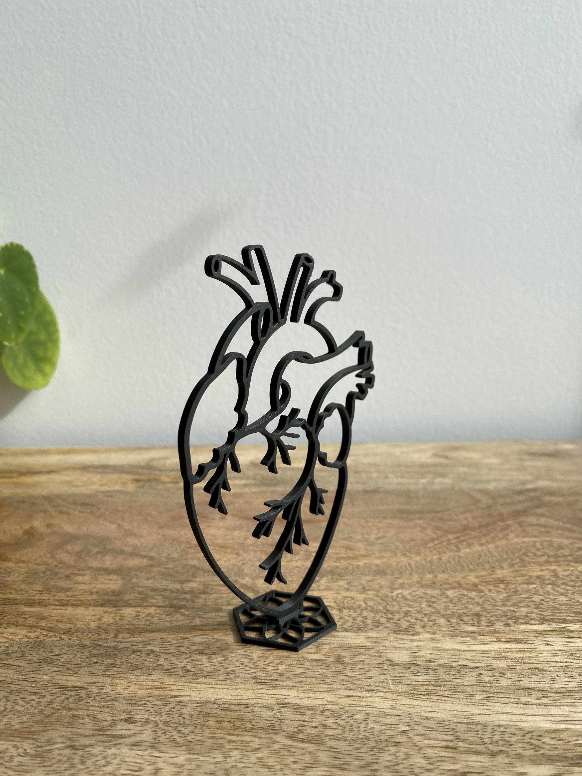 Anatomical Heart Sculpture | Human Heart Decor Gift | 3D Printed - image 3