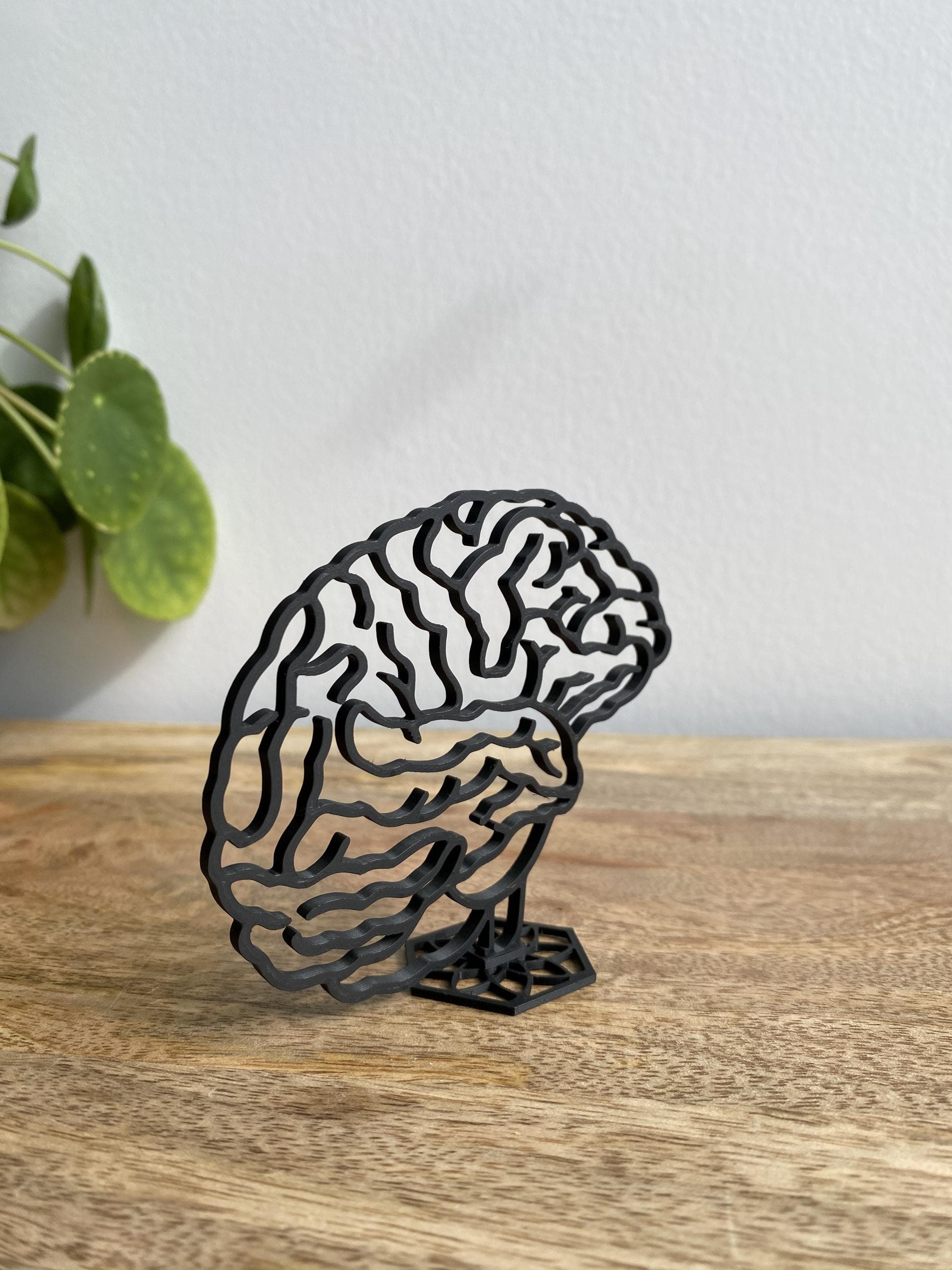Human Brain Sculpture | Medical Gift | 3D Printed - image 3