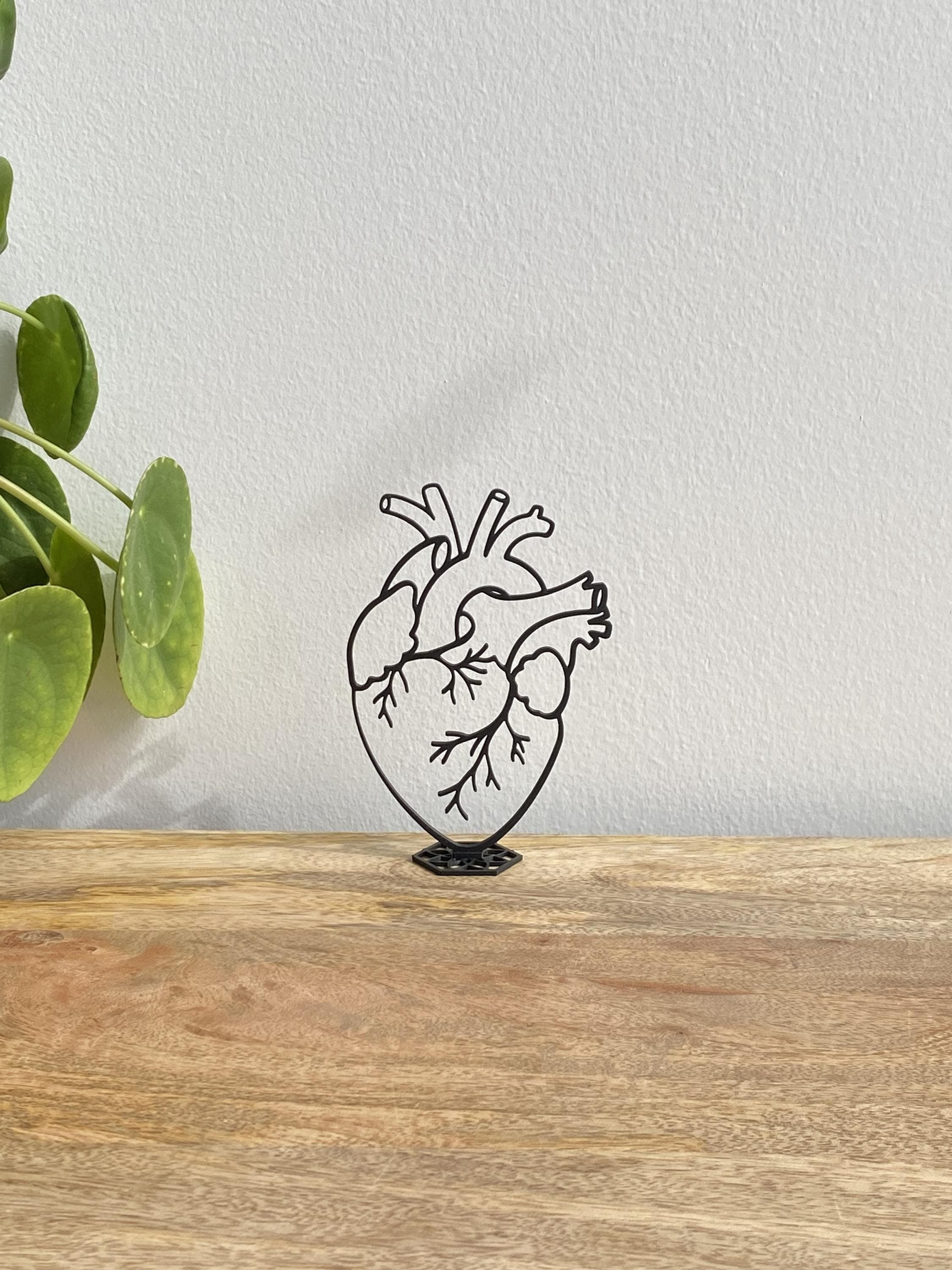 Anatomical Heart Sculpture | Human Heart Decor Gift | 3D Printed