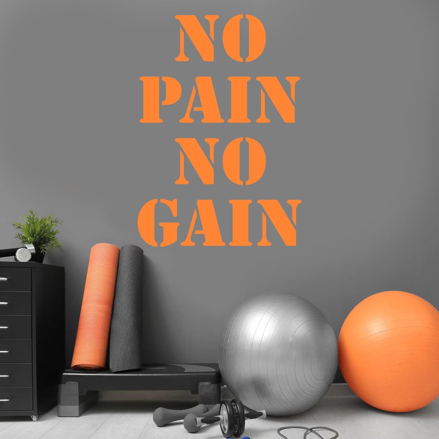 No Pain No Gain Vinyl Wall Decal | Gym Motivation Quote Wall Sticker NPNG S - image 5