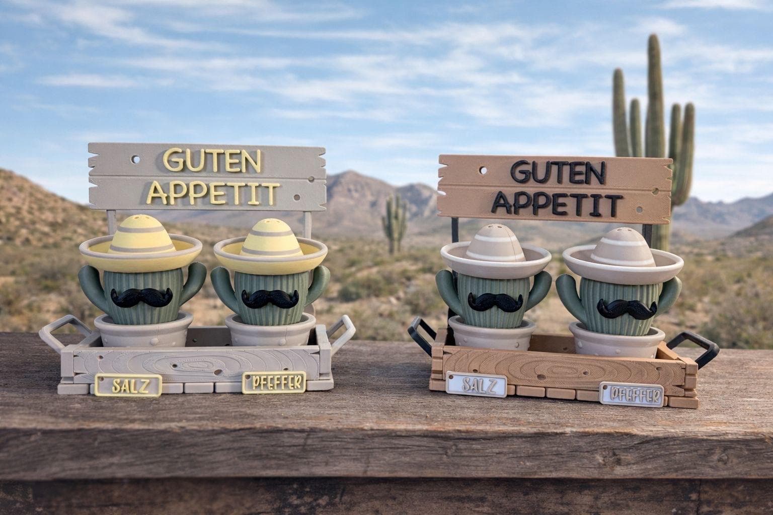 Salz & Pfefferstreuer Sommeredition | Salzstreuer | Pfefferstreuer | Sommeredition | Kaktus | Kaktus Liebe | Grillen | BBQ | Geschenkidee |