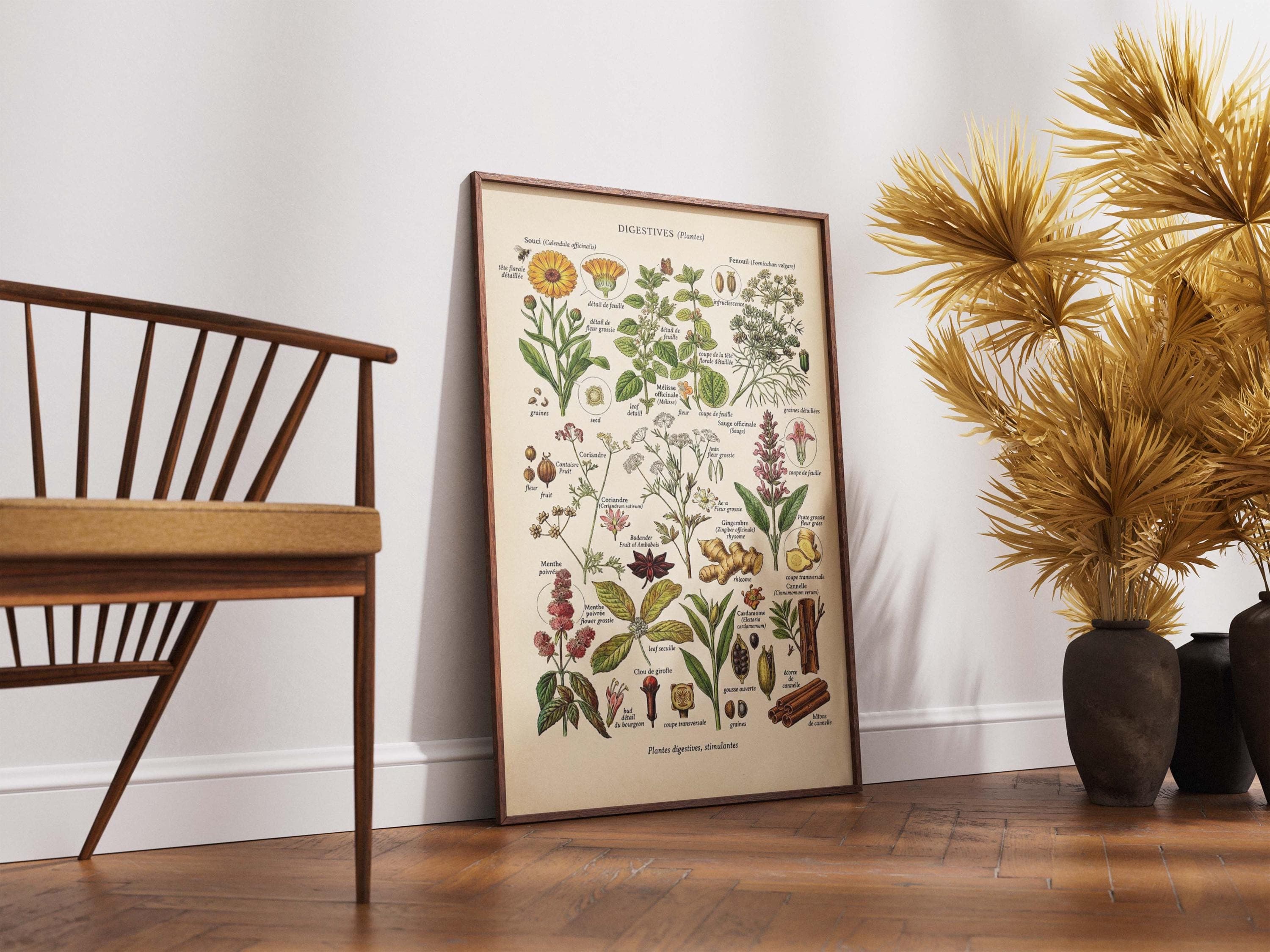 Vintage French Herb Chart Print, Medicinal Plants Botanical Poster, Kitchen Decor - image 4