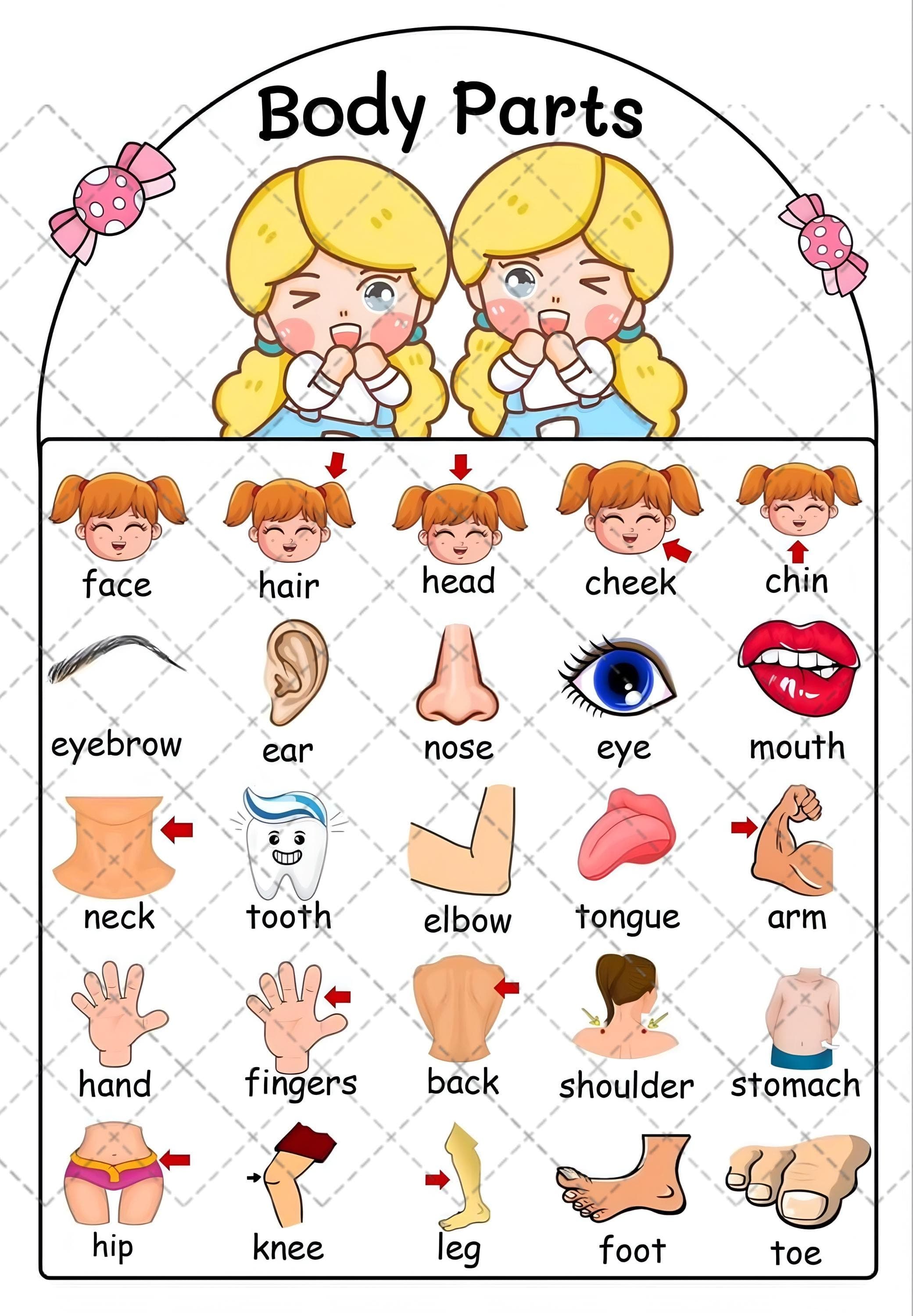 Body Parts Learning Chart | Toddler Educational Poster (Digital Download)